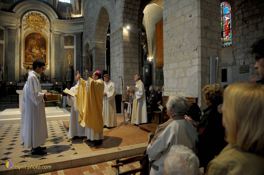 Nom de l'image : D30099619_1_(c)Norbert-JUNG — Description :